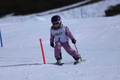 IMG_2044-1-scaled