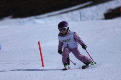 IMG_2045-1-scaled