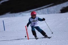 IMG_2052-1-scaled