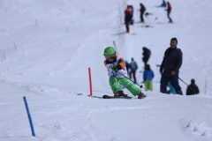 IMG_3461-scaled