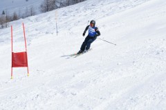 SONY DSC